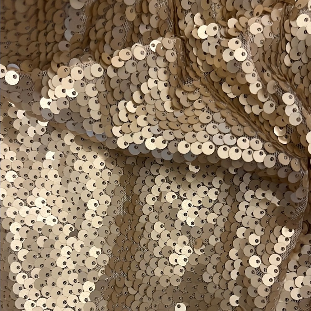 Gold Sequin Flare Pants - Picture 3 of 3